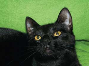 Barclay