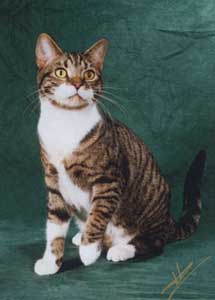 Sam