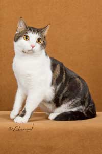 Ferris Buehler